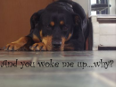 You Woke Me up...why?