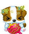 my lollie pop