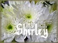 shirley