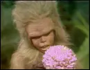 Chaka - land of the lost