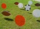sporties...