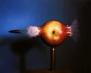 Bullet