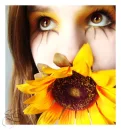 sunshine
