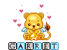 Garret