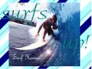 surfs up in hawaii!