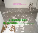 Buh,bye