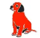 Colorful Puppy