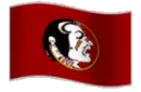 fsu flag