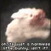 Harmless Little Bunny....