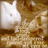 Evil Rabbit