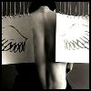 wings