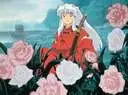 Inuyasha in the Roses