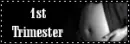 1st trimester
