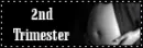 2nd trimester
