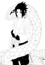 sasuke and a snake