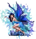 Juanita fairy