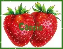 Strawberry Cassie graphic