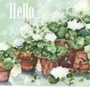 Hello