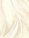 swirl