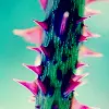 Thorn