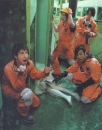 Fall Out Boy Firemen