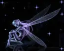 fairy in the dark