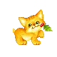 cat mini