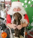 I Love Santa!