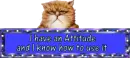 attitude