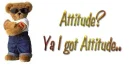 Attitude?