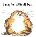 Difficult Cat