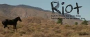 riot
