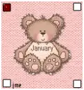 January Teddy