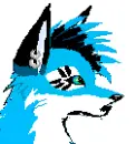 panting blue wolf