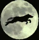 evil wolf