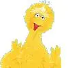 Big bird