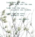 Look in the the sky