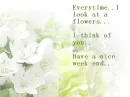 Look at the Flowers
