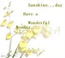 Sunshine day