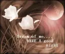 Dream of me