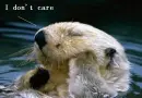 I don't care