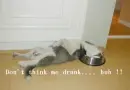 Don't think me Drunk !!