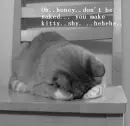 Kitty cry