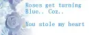 Blue Roses