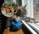 KITTY SNIPER!!!