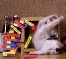 OMG! i almost had that!