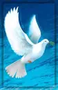 peace
