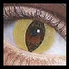 cat eye