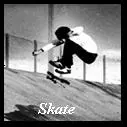 skate
