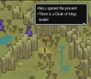 Cloak Of Kings